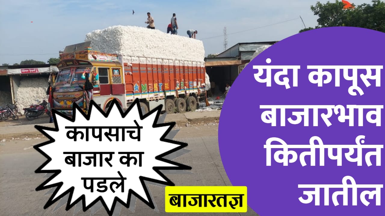 Cotton news