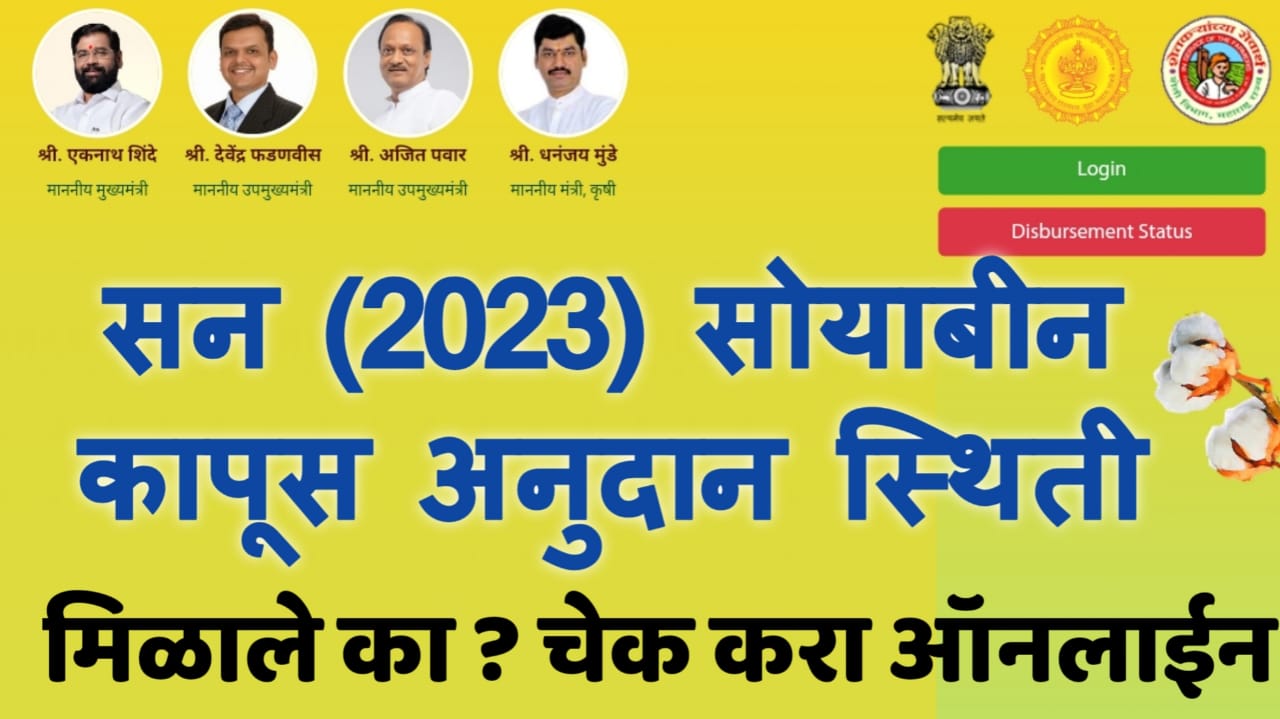 सोयाबीन कापूस