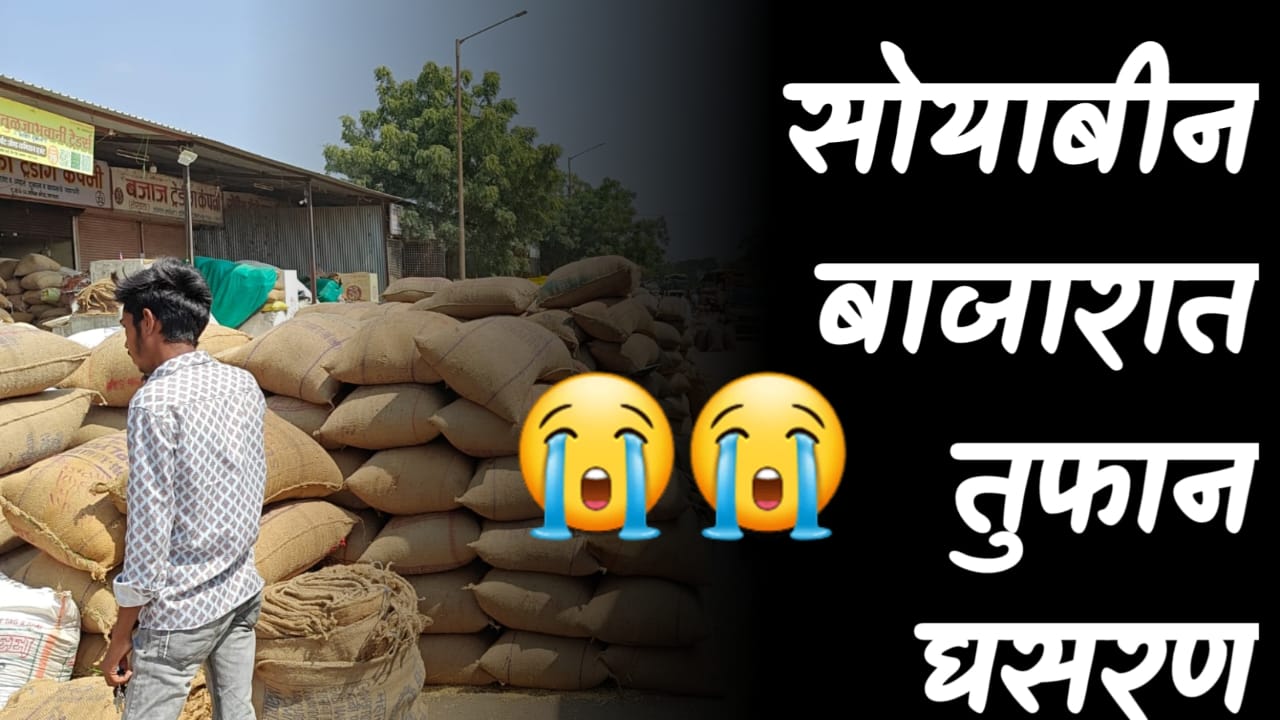 आजचे सोयाबीन बाजार