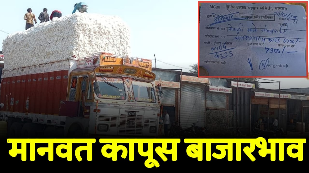 Cotton new rates