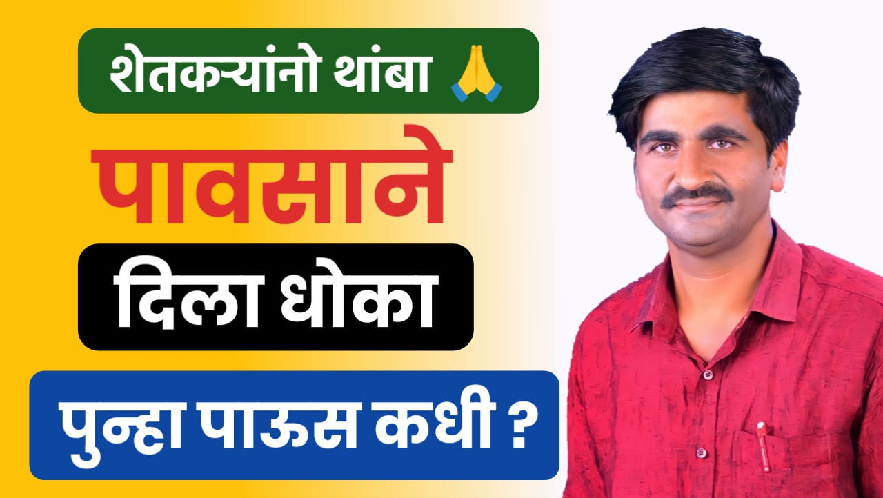 पंजाब डख