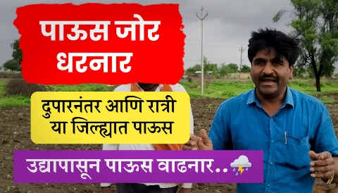 Panjab dakh forecast
