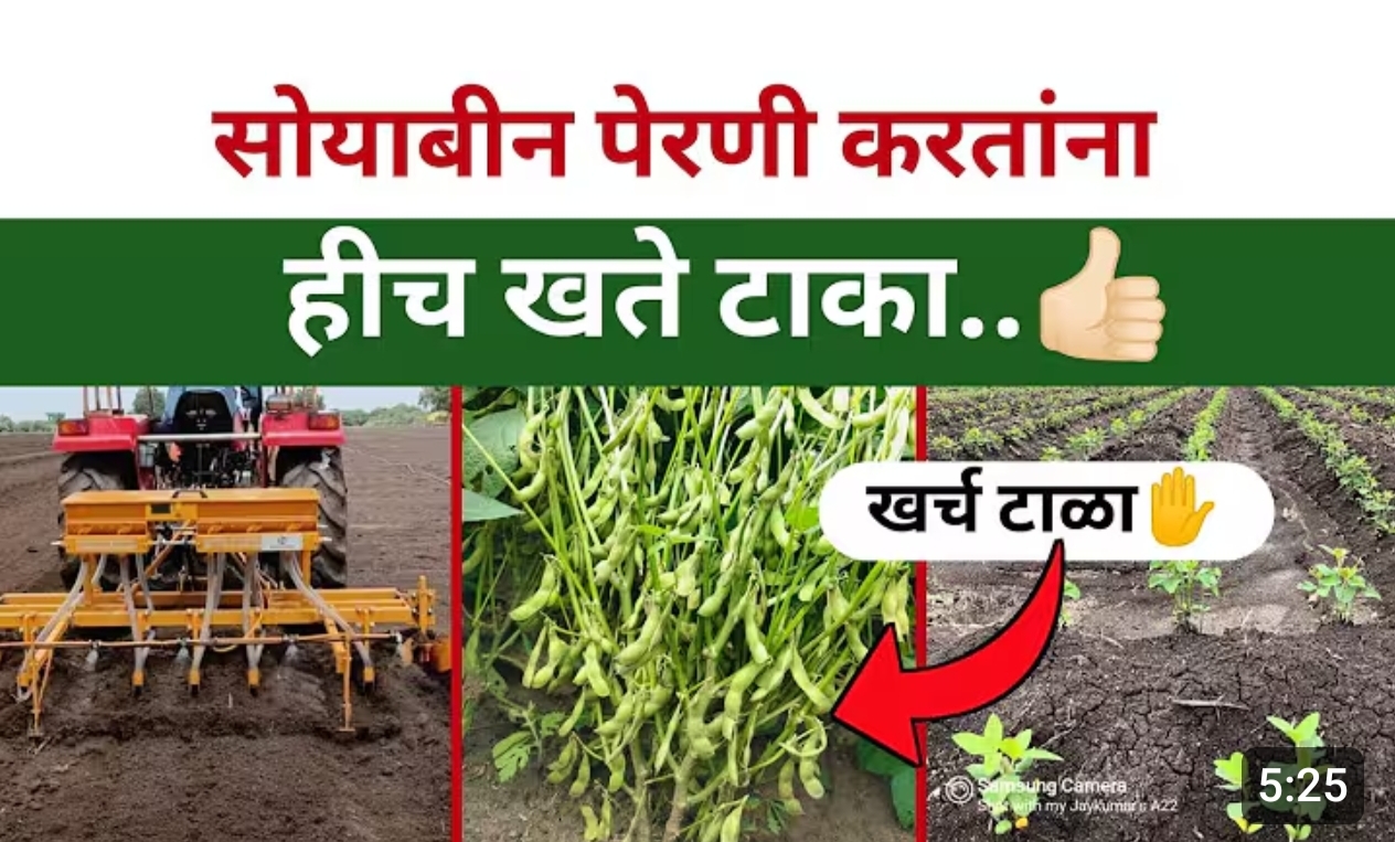सोयाबीन खत व्यवस्थापन